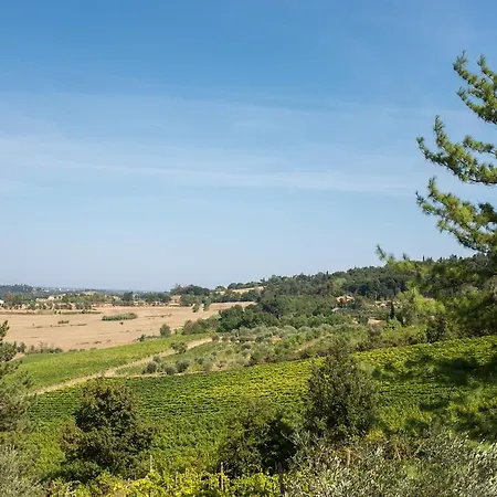 Il Vigneto Cottage Bertinoro Exterior foto