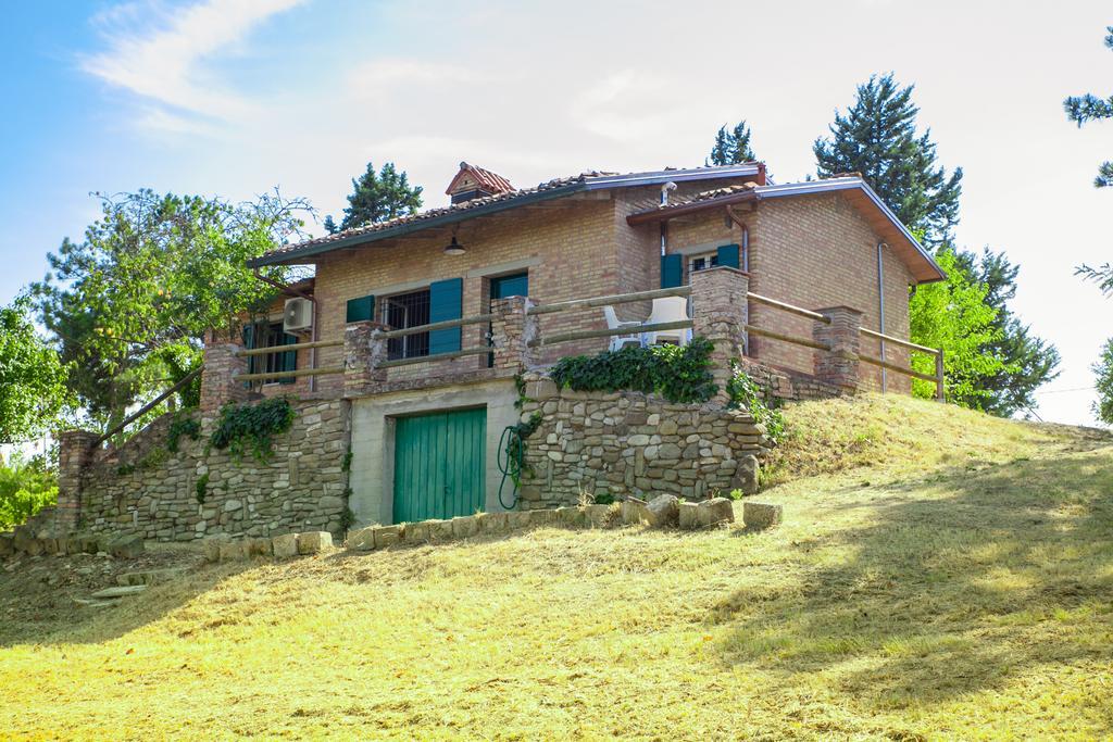 Il Vigneto *