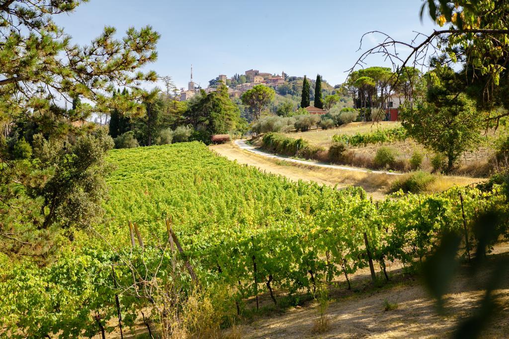 Il Vigneto Holiday home *