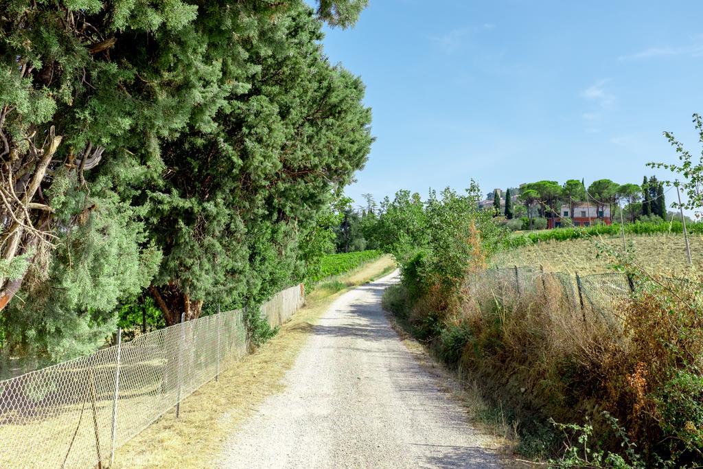 Il Vigneto Bertinoro