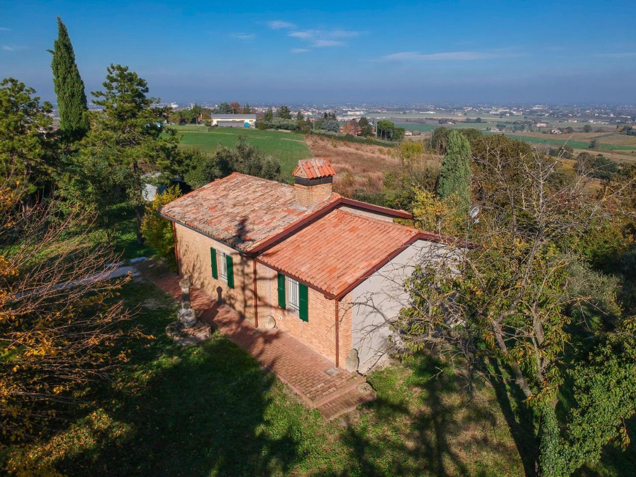 Il Vigneto