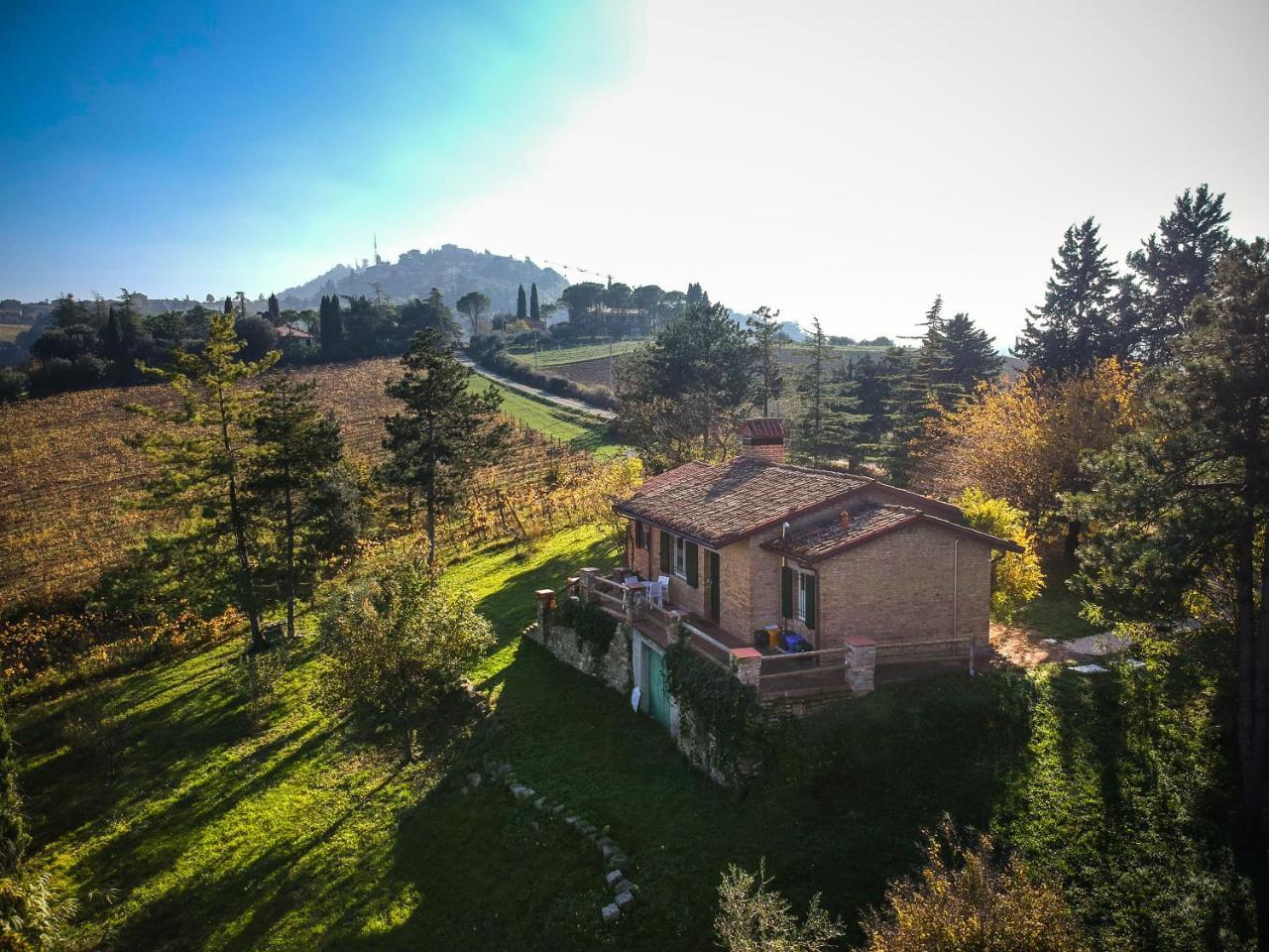 Il Vigneto * Bertinoro